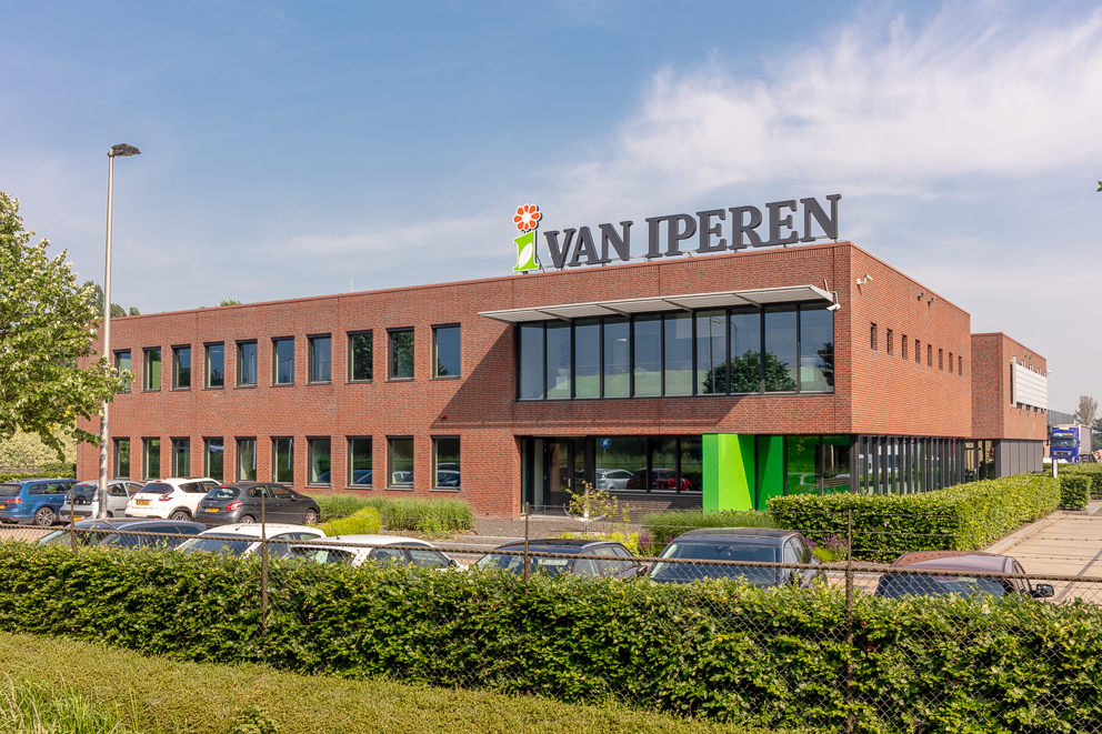 2019 Van Iperen