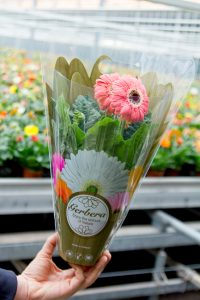 Sierteeltverpakkingen Van Iperen: kies ook voor een bloemenhoes of plantenhoes van hoge kwaliteit