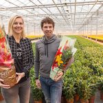 Sierteeltverpakkingen Van Iperen: bloemenhoezen en plantenhoezen van hoge kwaliteit