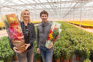 Sierteeltverpakkingen Van Iperen: bloemenhoezen en plantenhoezen van hoge kwaliteit