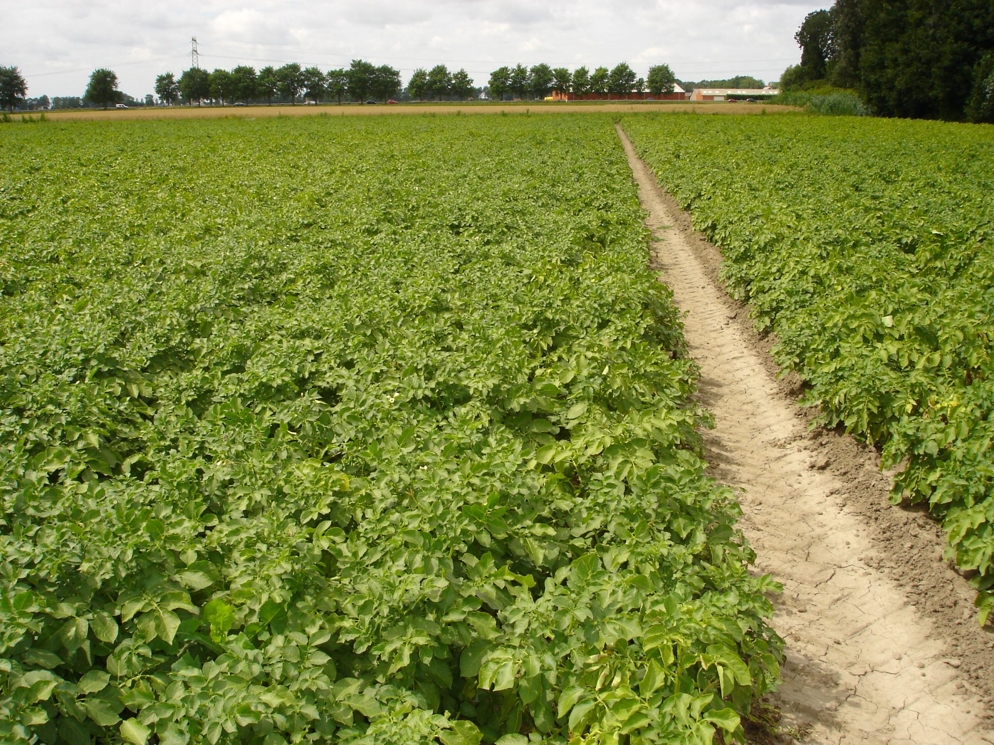 Afbeelding Corteva stopt met ophalen Ecolite-containers