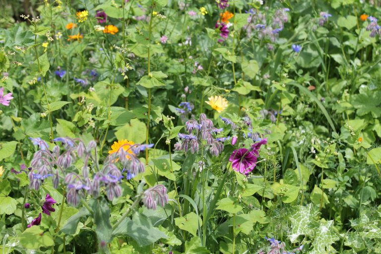 Afbeelding Fruitmax bloemenmengsel