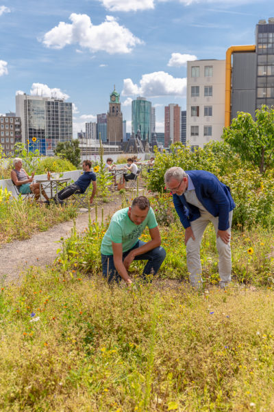 Afbeelding Boeren op het dak, de stad als ecosysteem