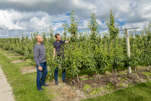 Afbeelding Van stukadoor tot fruitteler