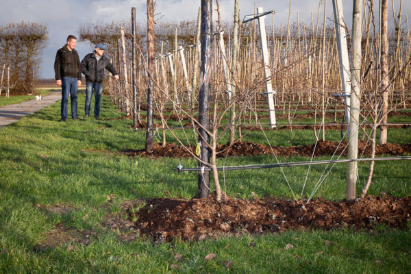 Afbeelding Fruit telen bovenop een zoetwaterbel