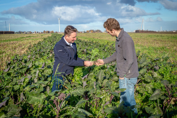Afbeelding Met één bar het land op