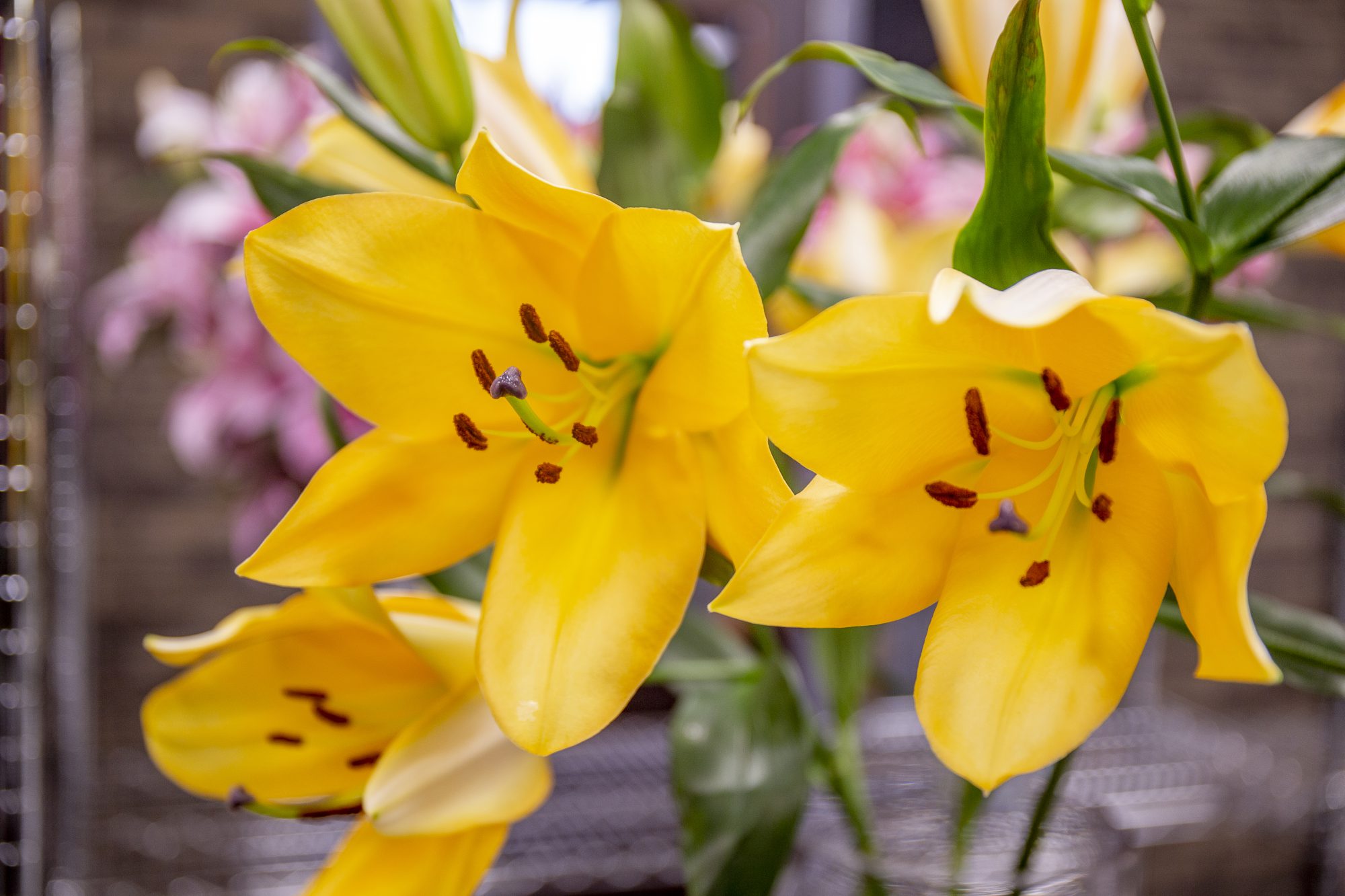 Afbeelding Verdiperingsdag weerbaar telen tuinbouw