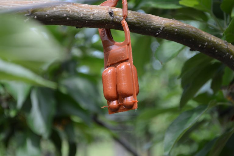 Afbeelding Bestel tijdig uw RAK 3+4 ampullen