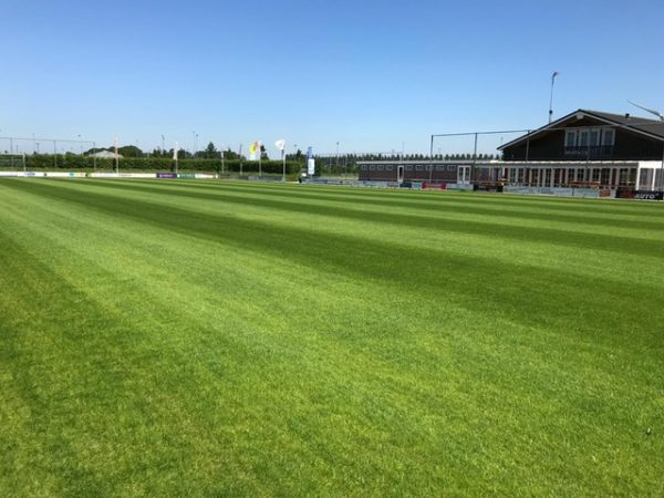 Afbeelding ‘Velden vormen geen probleem voor start van competitie’