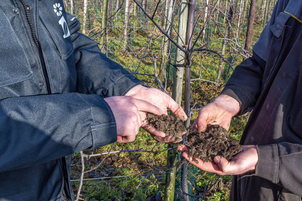 Afbeelding De appel valt niet ver…