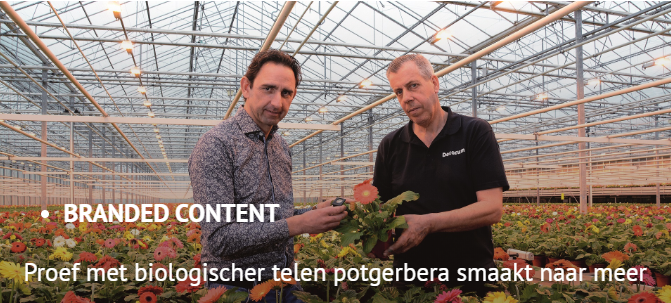 Afbeelding Proef met biologischer telen potgerbera smaakt naar meer