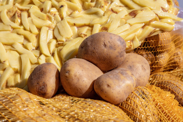 Afbeelding Pootaardappeldag