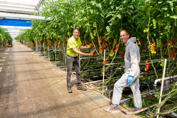 Afbeelding Steeds meer biologie bij Emsland Gemüse