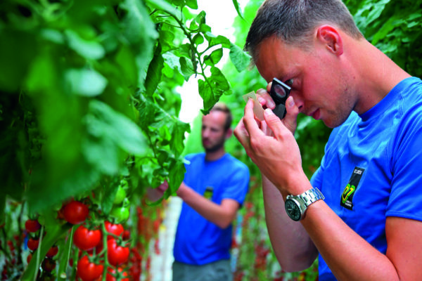 Afbeelding Samenwerken vanuit controle vereist proactieve aanpak