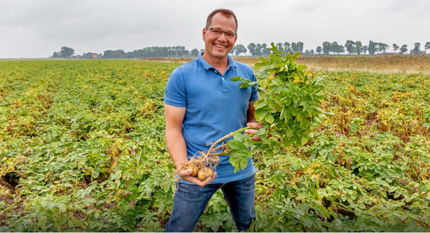 Afbeelding Aanpak virus pootgoedteelt vraagt om systeemaanpak