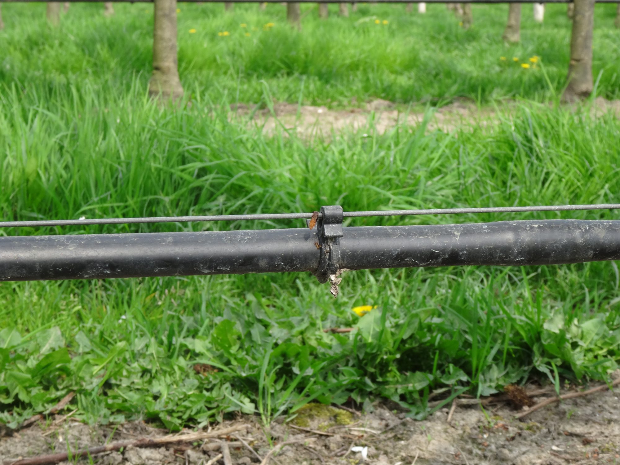 Afbeelding Waarom fertigatie – Water en voeding op maat