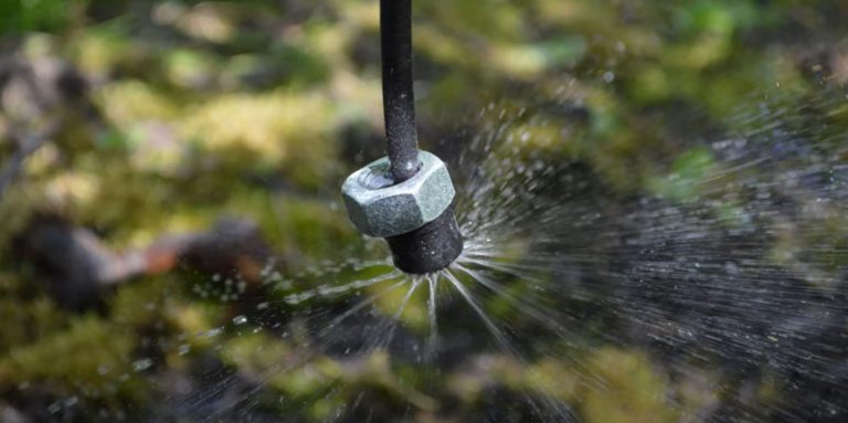 Afbeelding Aandacht voor fertigatie tijdens de bloei