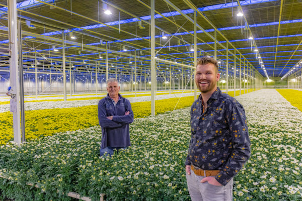 Afbeelding Voor altijd gek op chrysanten