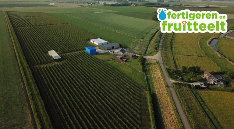 Afbeelding Het belang van ijzer