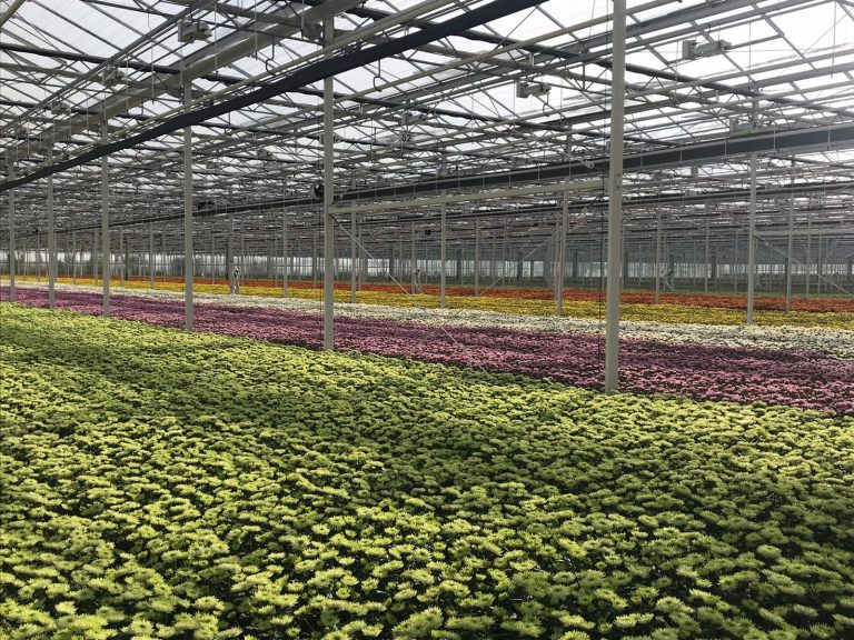 Afbeelding Spuitlicentiebijeenkomst Tuinbouw