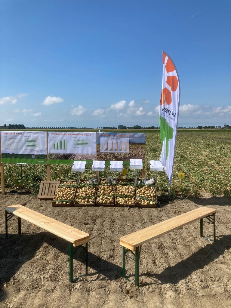 Afbeelding Uienoogst met fertigatie ook in nat jaar beter