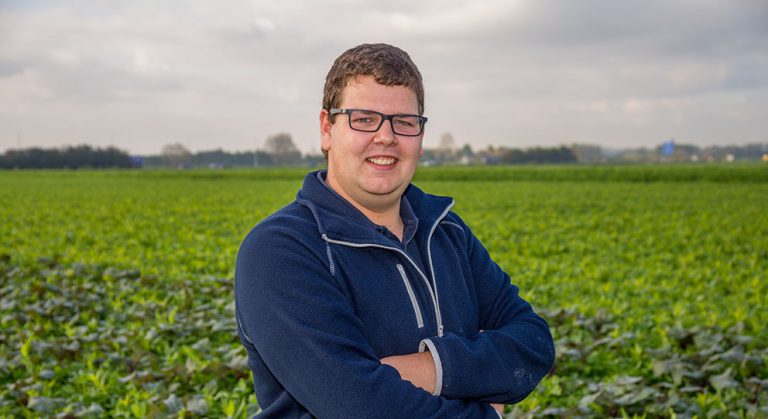 Afbeelding Bodemleven en groenbemesters