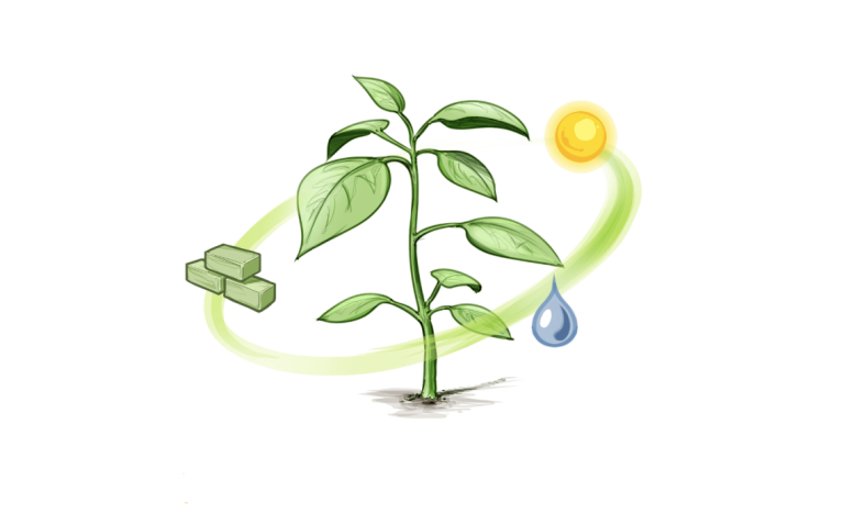 Afbeelding Hoe de Plant Empowerment filosofie telers helpt