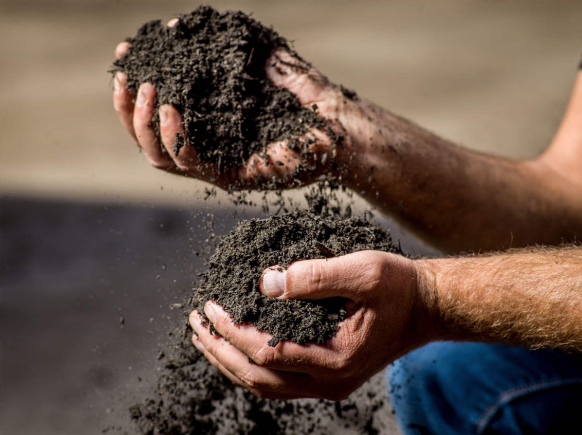 Afbeelding Verrijkte dressgrond voor op sportvelden
