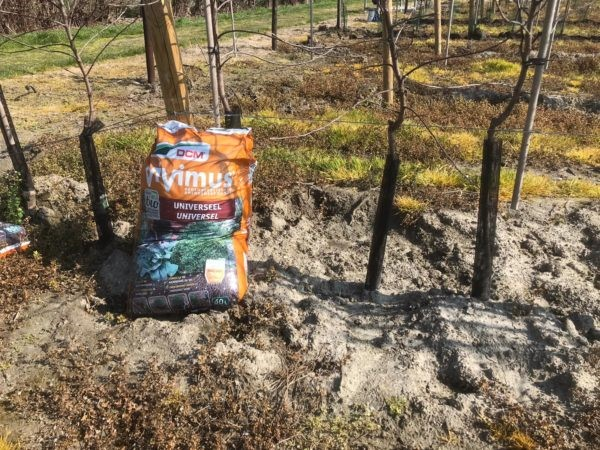 Afbeelding Plantgatbehandeling