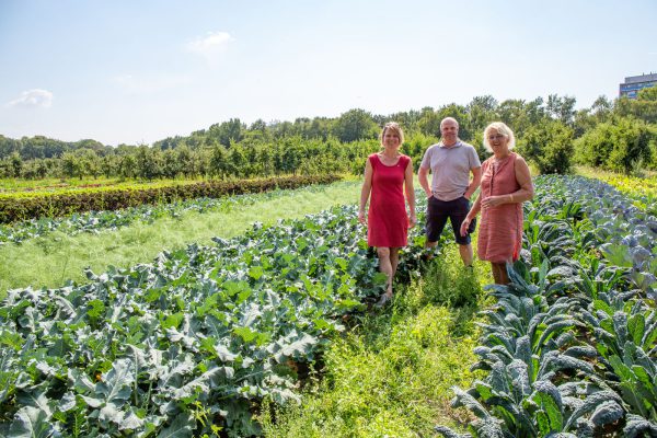 Afbeelding Interview met Franken Fruit: “Schaalvergroting past niet bij ons”