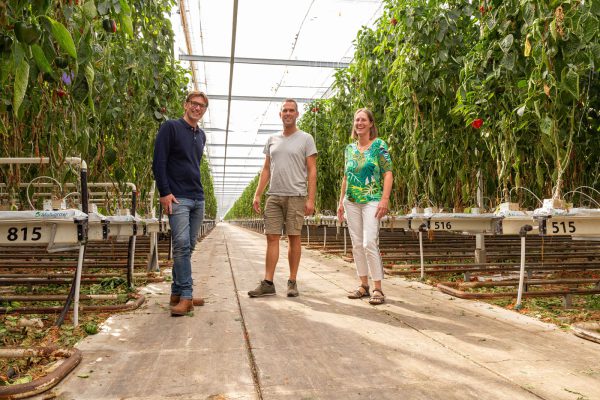 Afbeelding Vrijstelling Verimark: Samenwerken om knelpunten in de teelt op te lossen