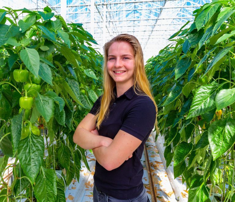 Afbeelding Goede ervaringen met scoutbegeleiding in vruchtgroenten