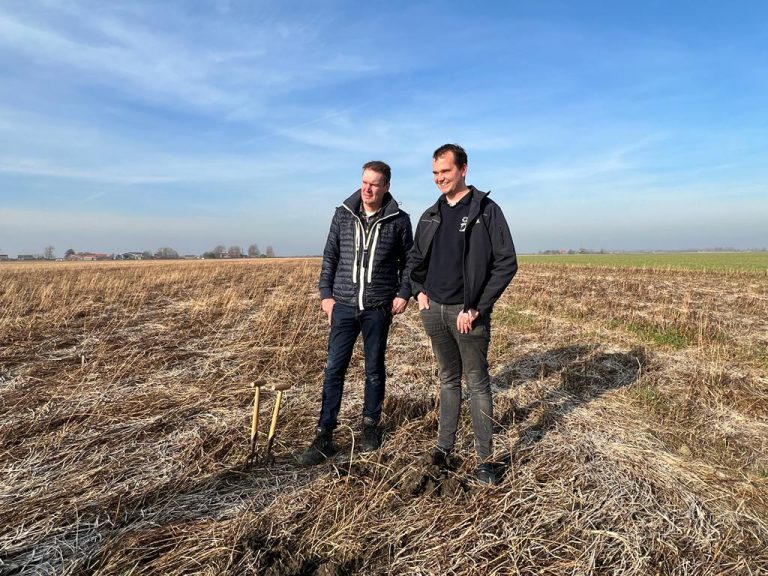 Afbeelding Video: stikstof vastleggen met overwinterende groenbemesters