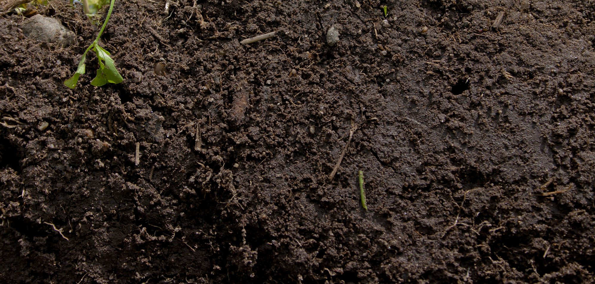 Afbeelding Bodemstructuur verbeteren