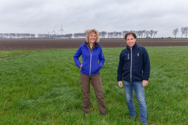 Afbeelding Binnen zes uur van het veld in de pot