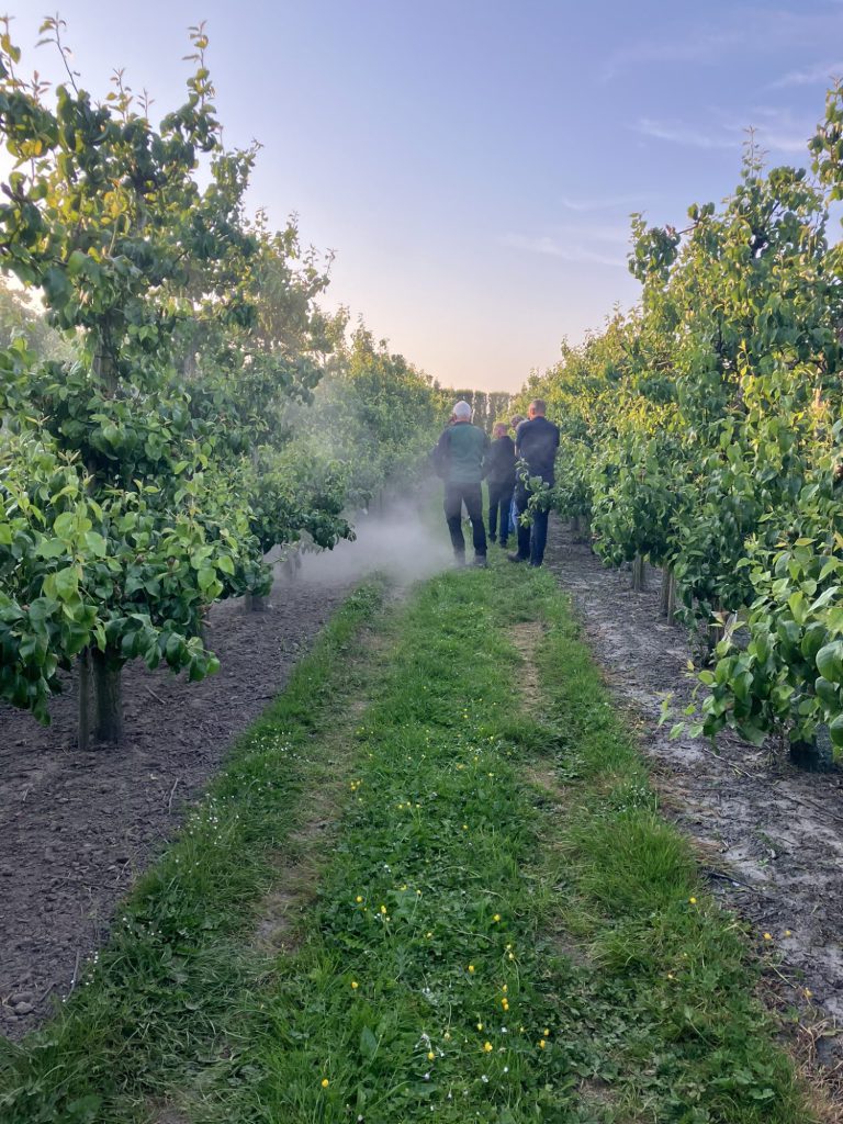 Afbeelding Terugblik fruitteeltavond bij Gebr. Weststrate
