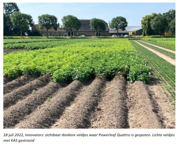 Afbeelding Bijbemesting en inzet van bladmeststoffen