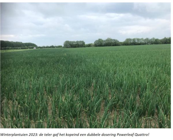 Afbeelding Bijbemesting en inzet van bladmeststoffen