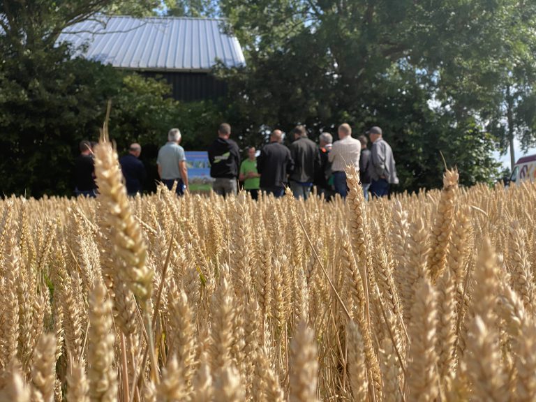 Afbeelding Terugblik Proef de dag in de regio 2023