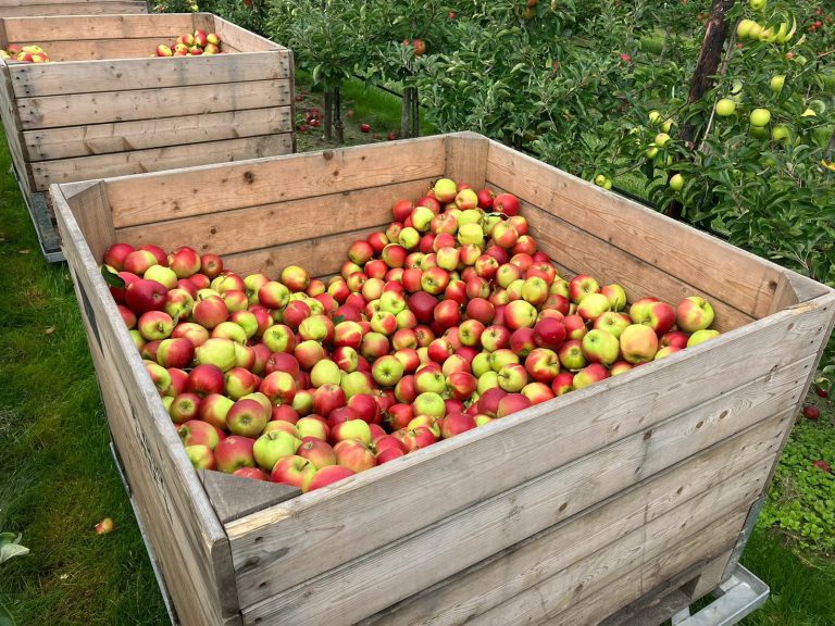 Afbeelding Fruitsmart 1-MCP