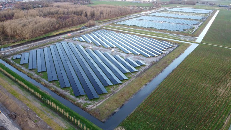 Afbeelding Soortenrijk grasmengsel voor ecologisch zonnepark