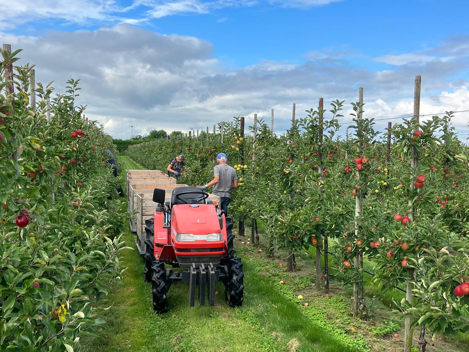 Afbeelding Video: Pluk 2023