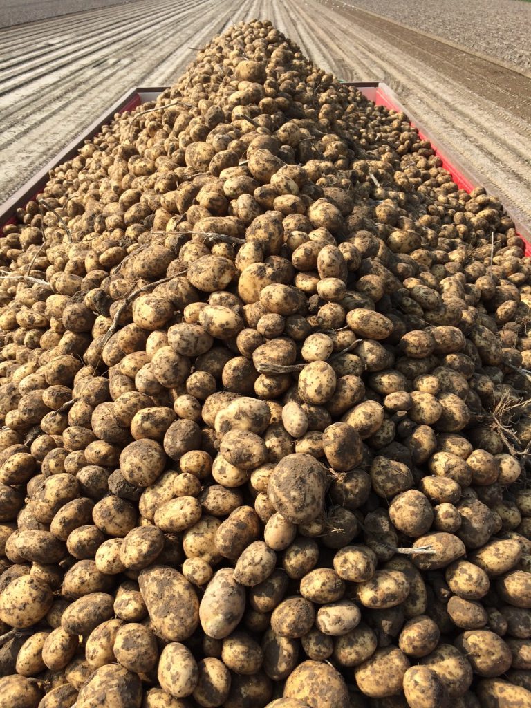 Afbeelding Nieuw: Mijn Bewaring