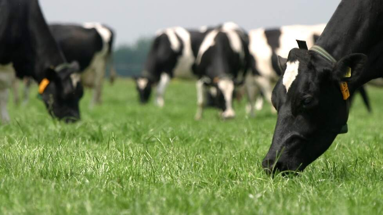 Afbeelding De kracht van het moment