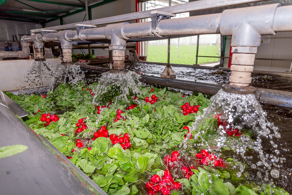 Afbeelding EC- en PH-meters: nu extra voordelig tot en met 1 maart