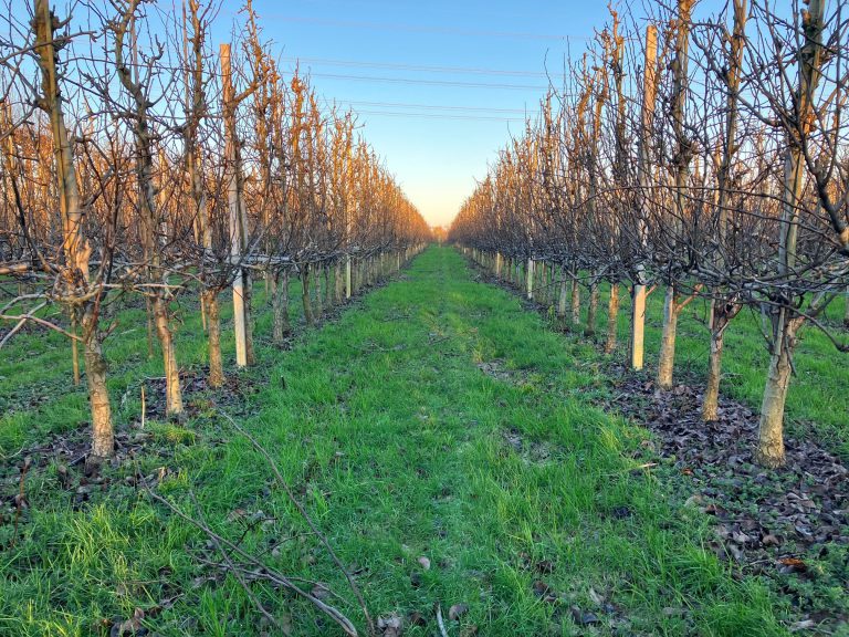 Afbeelding Werkzaamheden vorstperiode