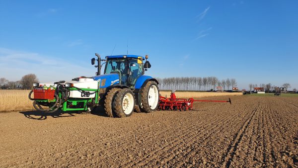 Afbeelding Stikstof besparen in suikerbieten voor een hoger saldo?