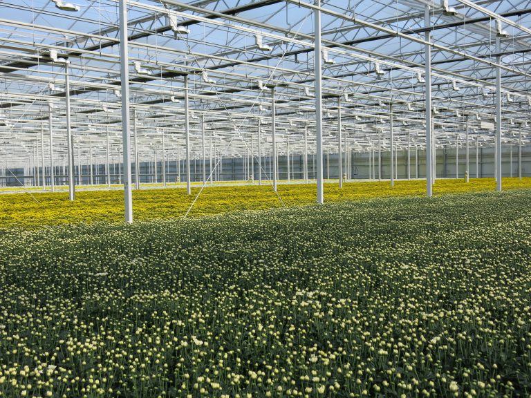 Afbeelding Pilot inzameling glastuinbouw