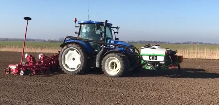 Afbeelding Stikstof besparen in suikerbieten voor een hoger saldo?