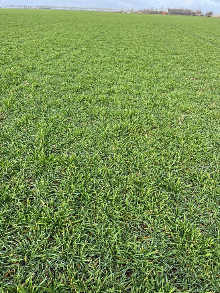 Afbeelding De kracht van het moment